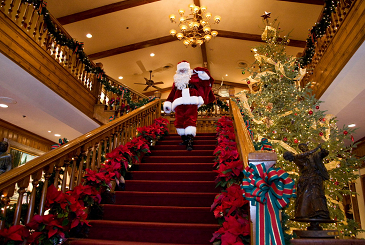 12 Days of Christmas