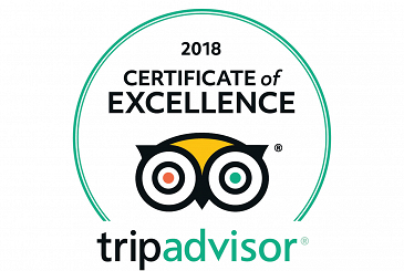 TripAdvisor Reviews