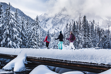 Our Favorite Winter Activities