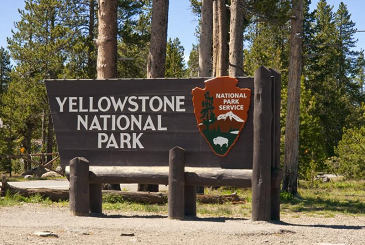 Yellowstone is Now Open